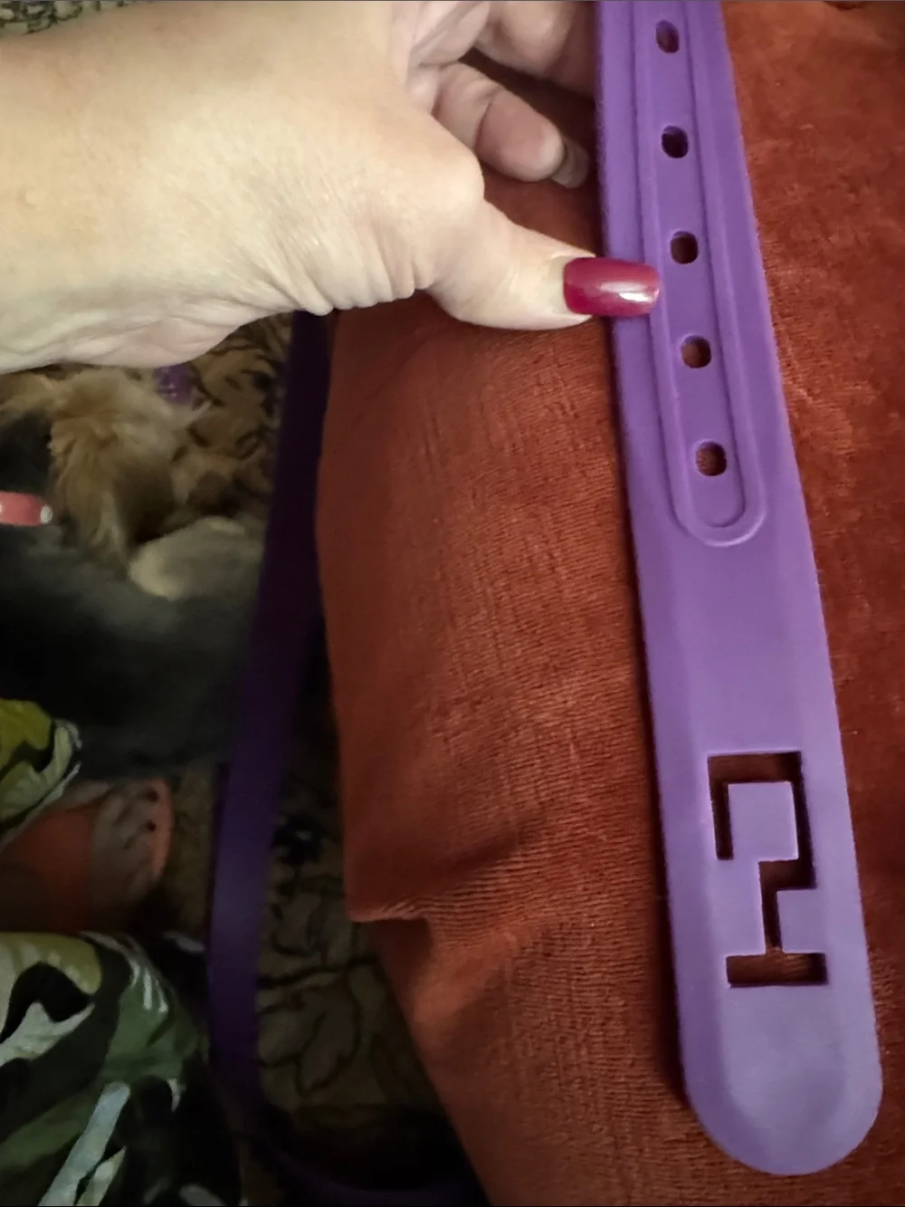 Women's Purple Silicone Belt with Gloss Buckle